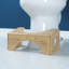 Xanthippe Shower Bench