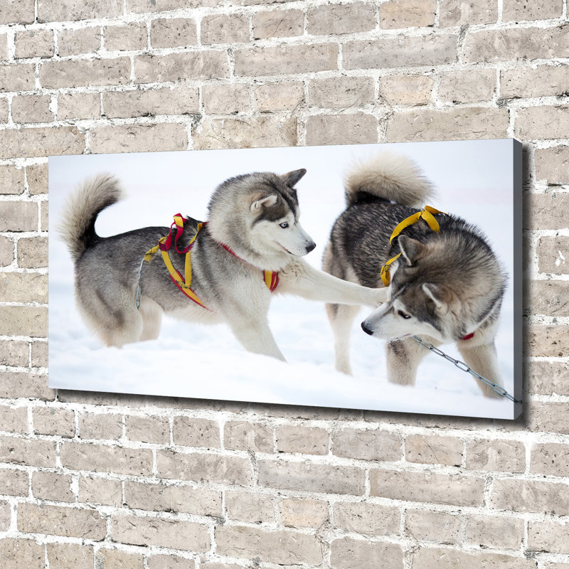 Husky In The Winter - No Frame Print, Canvas, 70cm H x 140cm W x 2cm D