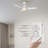 Raenah 44'' Ceiling Fan with LED Lights