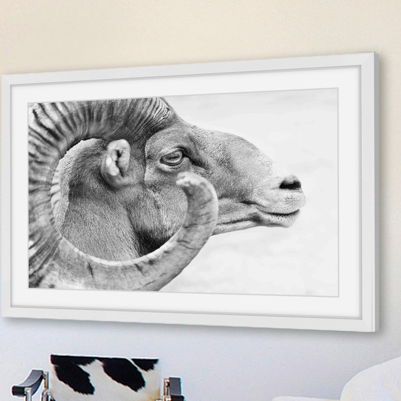 « ram profile 3 », reproduction de photo sur papier encadrée, H 16 po x l 24 po x P 1,5 po