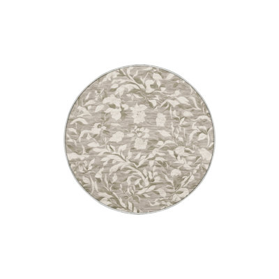 Machine Washable Beige Area Rug