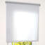 Roll-Up Shade-21010536-21010544