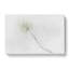 Solitary Leaf In Abstract - Wrapped Canvas Print-55340147