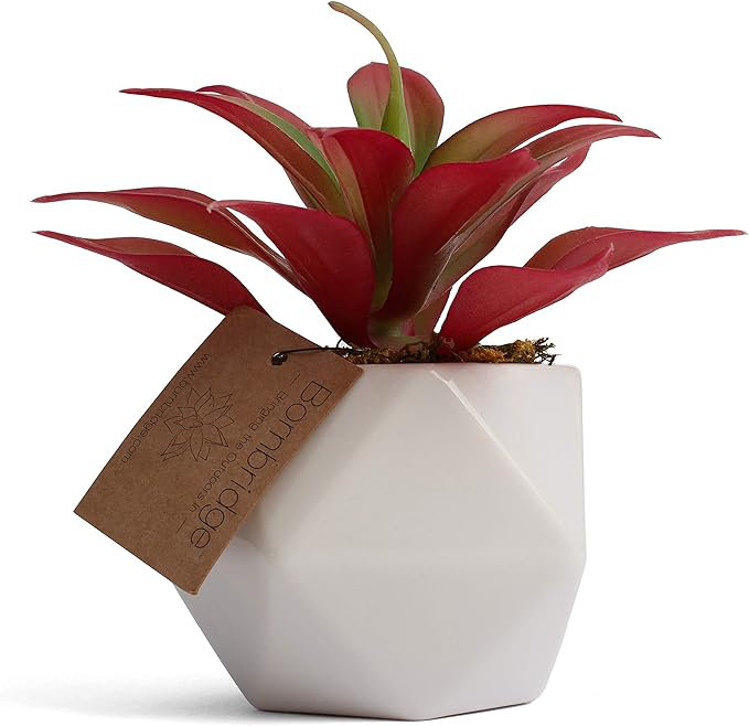 2,75 po Faux Agave dans un vase en céramique