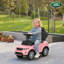 HOMCOM Push/Pull Ride On-120164817