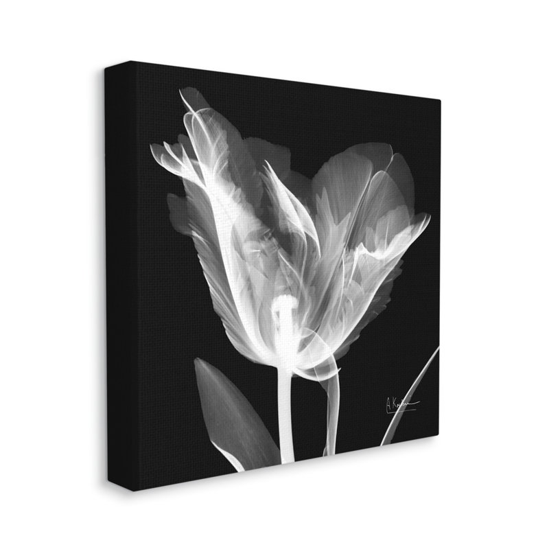 Fleur de tulipe, radiographie sur toile, Estampe numérique Farmhouse, H 17 po x l 17 po x P 1,5 po