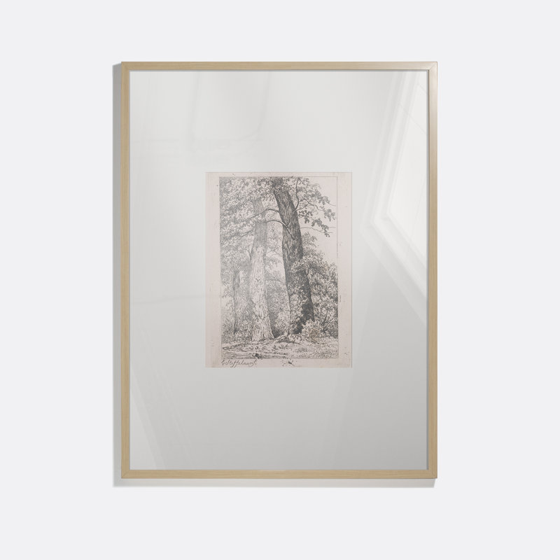 Three Tall Trees Print by Cornelis Steffelaar
