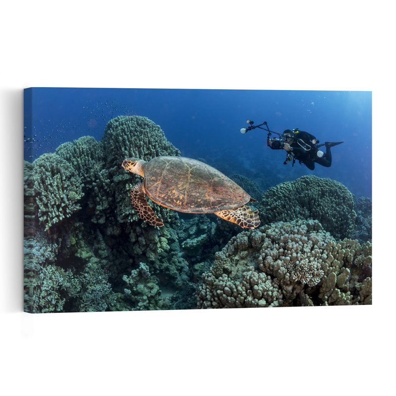 Tortue sous-marine et tortue de plongeur, impression d'art mural nature océan, 40" H x 60" W