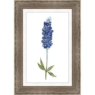 " Bluebonnet I " Painting Print