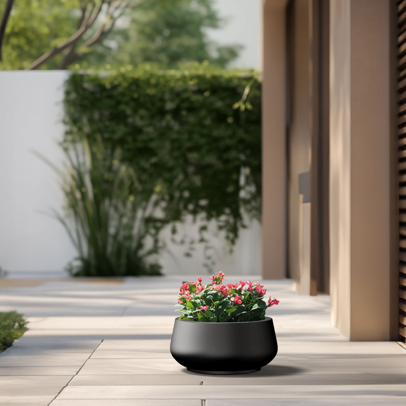 Pot à fleurs moyen rond en béton avec trous de drainage, Noir anthracite, H 7,87 po x l 16,93 po x P 16,93 po