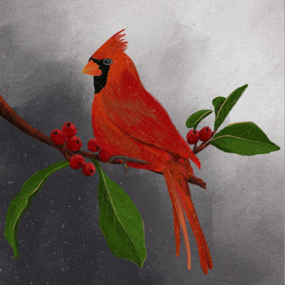 «Jamiyah Red Cardinal II» par Regina Moore