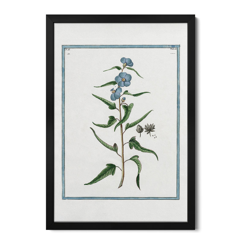 Botanical I - Wall Art Print - Gallery Poster, 24" H x 16" W