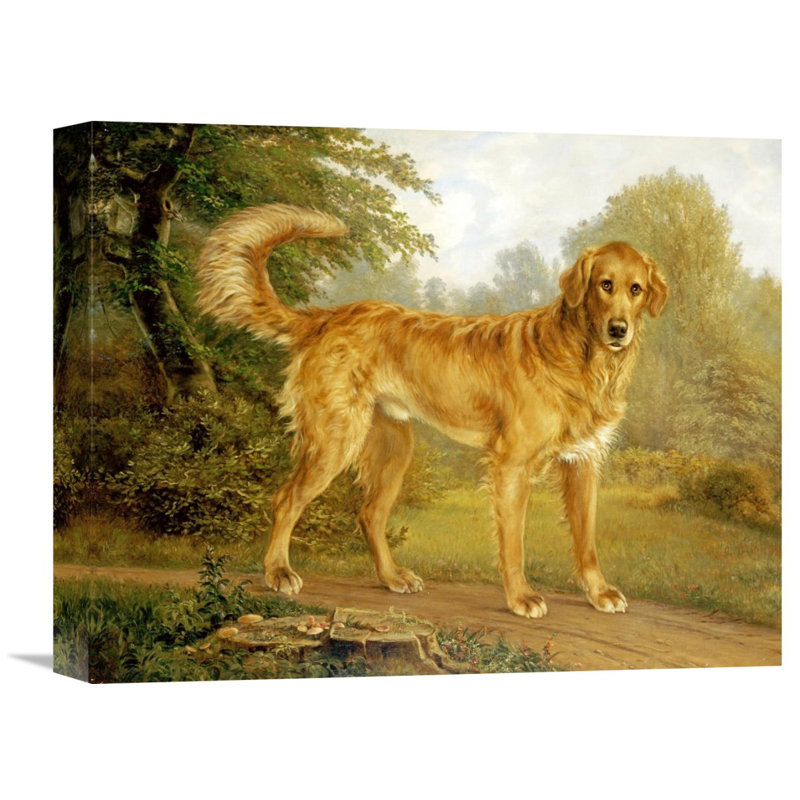 " A Golden Retriever On A Path " by Niels Aagaard Lytzen, 23.85" H x 30" W x 1.5" D