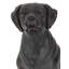 Sculpture polystone brune décorative pour chien