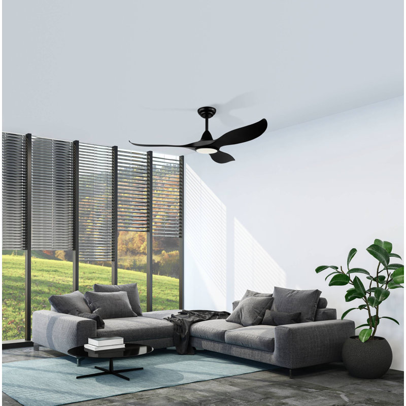 Deramus 132cm Ceiling Fan with LED Lights, Black, Black
