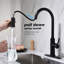 Robinet de cuisine avec douchette extractible