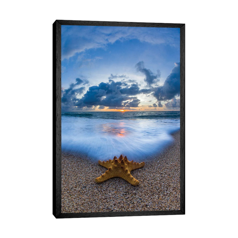 Starfish Sea Foam by Sean Davey - Print on Canvas, 66.04cm H x 45.72cm W x 3.81cm D, Black Floater Framed