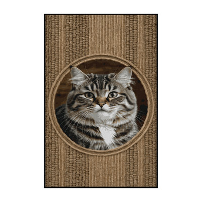 Washable Celtic Shorthair Cats Area Rug