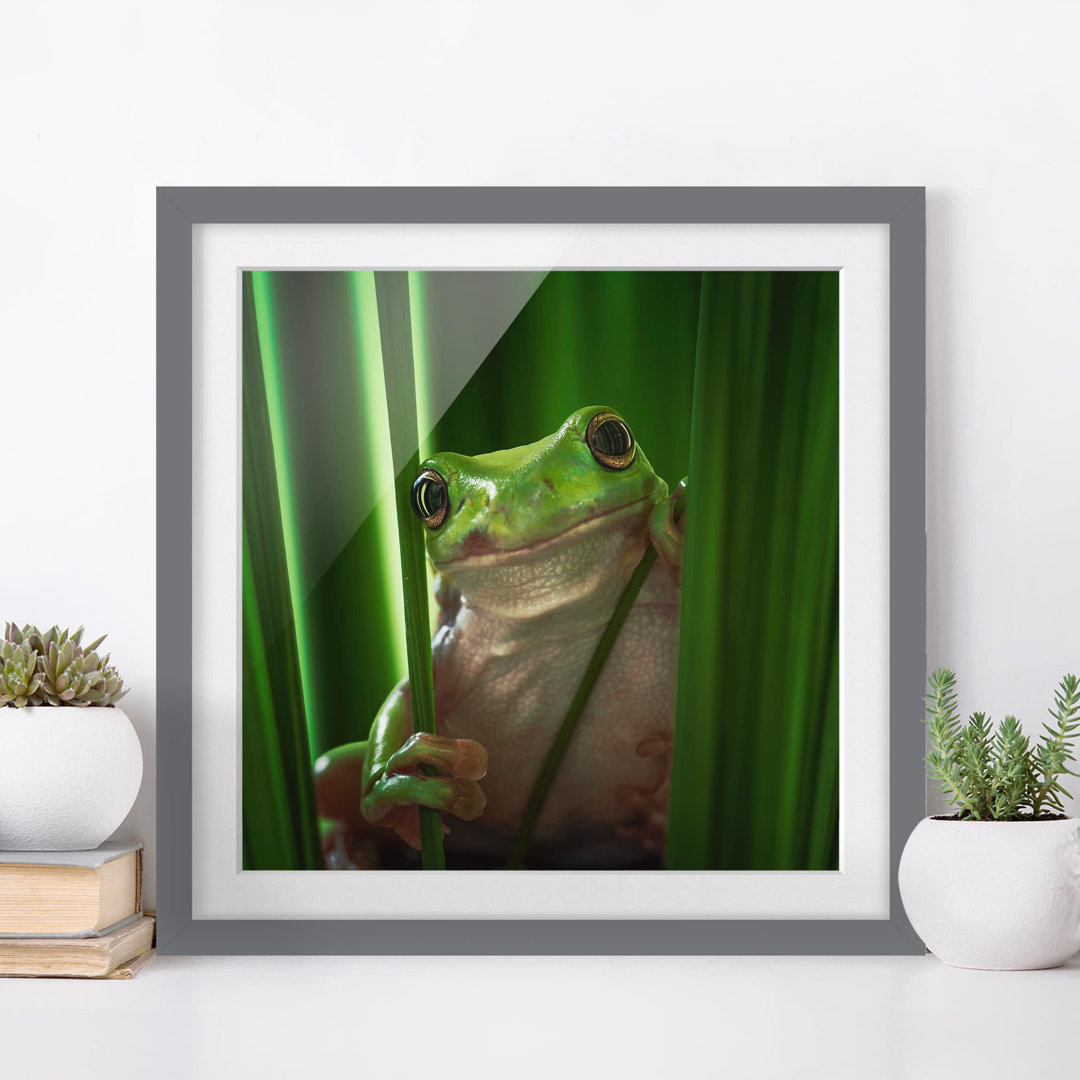 Gerahmtes Papierbild Fröhlicher Frosch