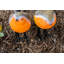 Halley Animals Weather Resistant UV Resistant Plastic Garden Statue