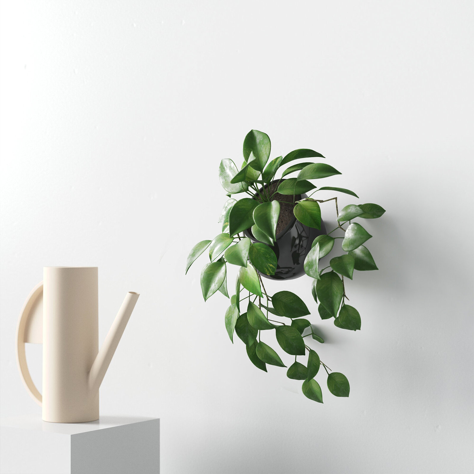 Hilaria Ceramic Wall Planter, 3.5'' H x 4'' W x 5" D, Glossy Black