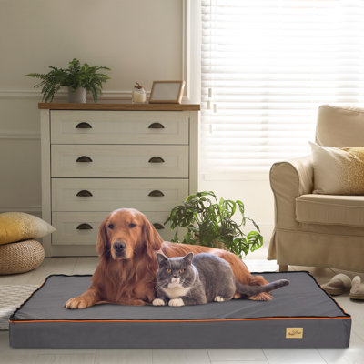Wakefield Orthopedic Polyester Pet Bed