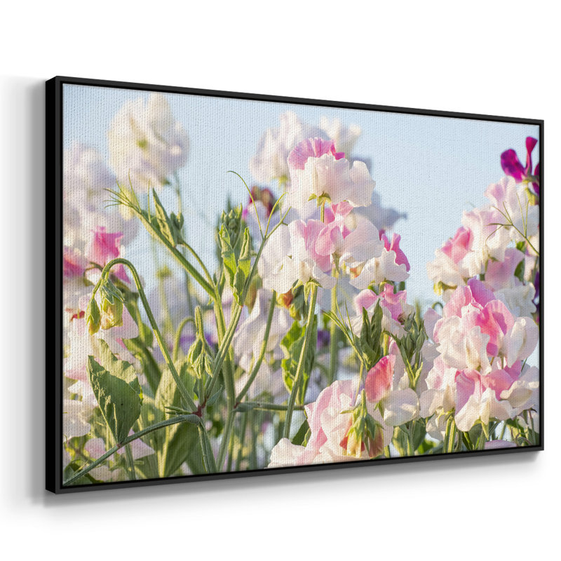 " Spring All Around ", Black, 37" H x 25" W x 2" D