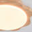 LumiLux 1-Light Modern Wood LED Flush Mount Ceiling Light for Bedroom