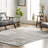 Akimitsu Southwestern Gray Area Rug-389494687