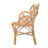 Briette 29.5'' Rattan Wide Armchair