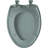 Elongated Toilet Seat and Lid-17383532
