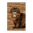 Washable Burmese Cats Area Rug-1523511358