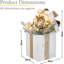 Anmay Decorative Accent