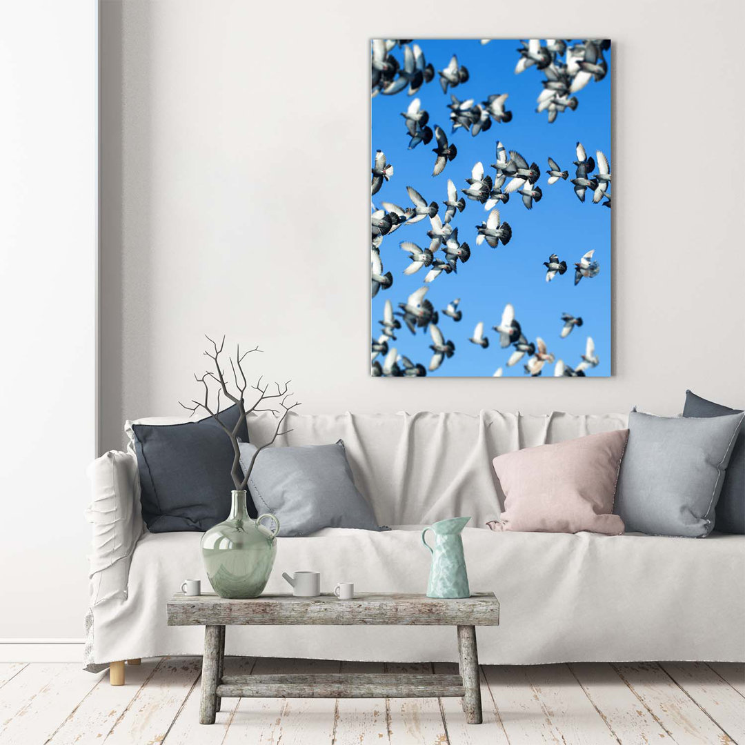 Pigeons In The Sky - Kunstdrucke auf Leinwand