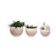 Jardinières Latitude Run® Valdiva, 3 pièces