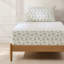 Rose Garden Cotton Sheet Set Blue-111329039