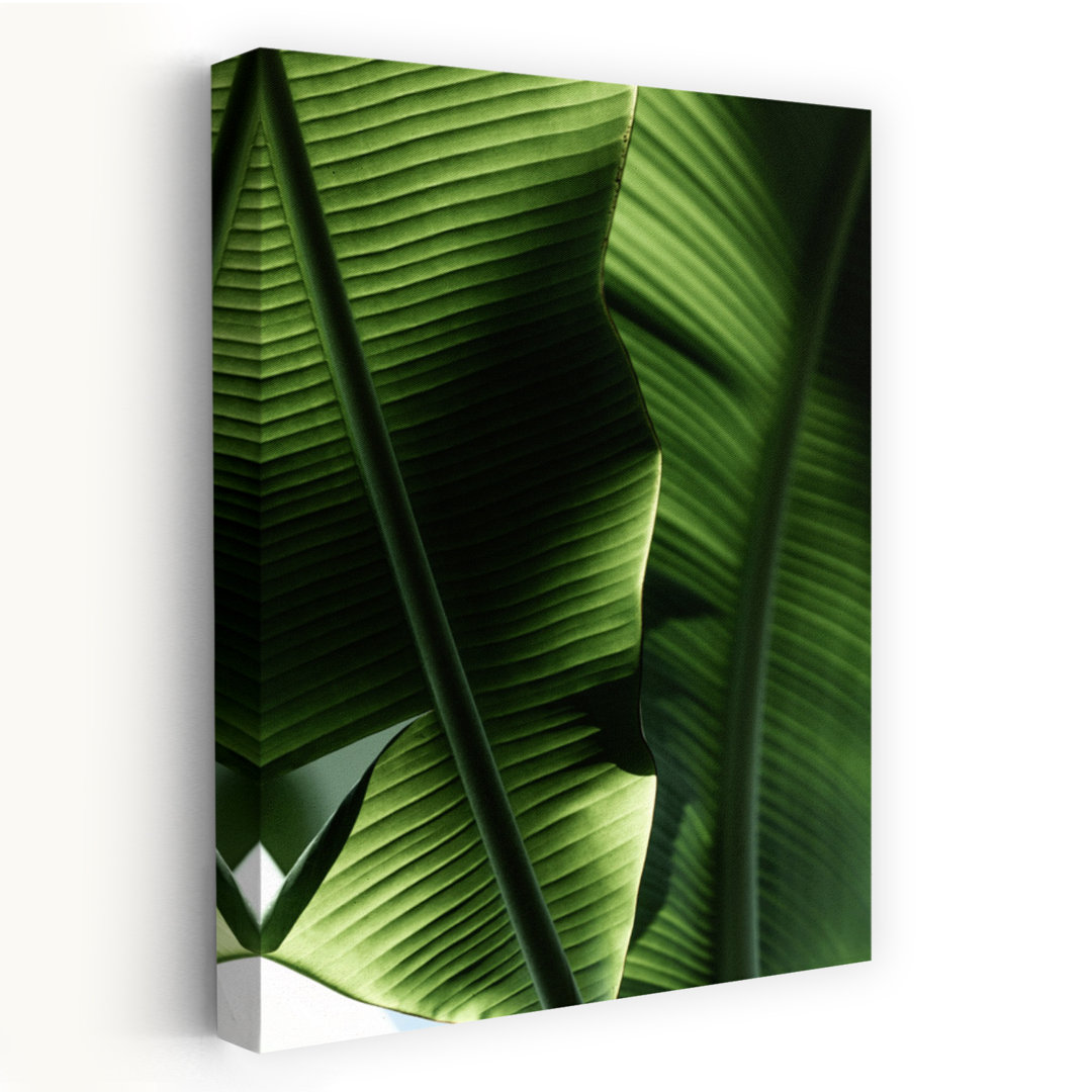 Sunlit Tropical Leaves Abstract Organic Vibrant Nature Plant Wall Art Print