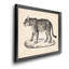 Brodtmann femelle léopard - cadre photo, reproduction d'art sur toile-1963634606-1963634607