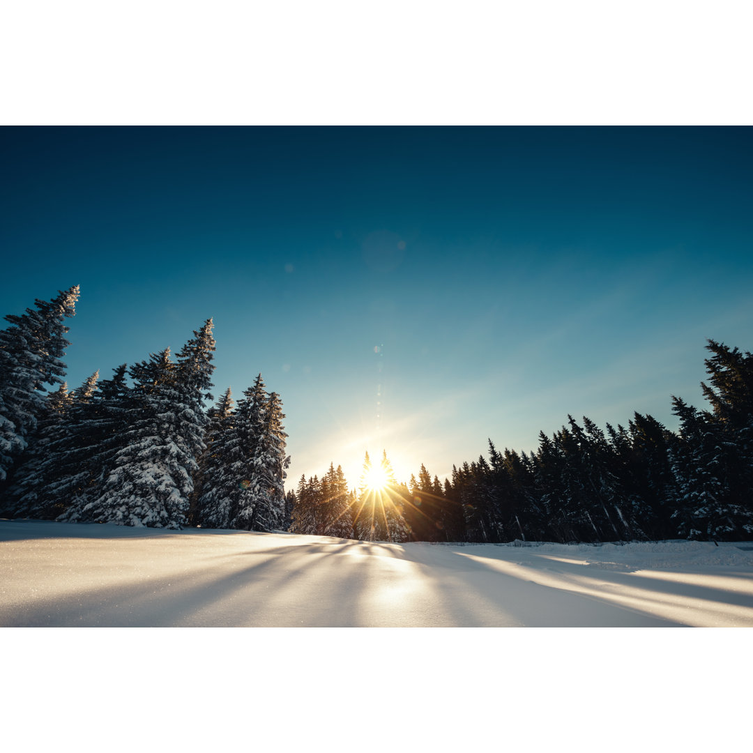 Winterlandschaft von Borchee - Druck