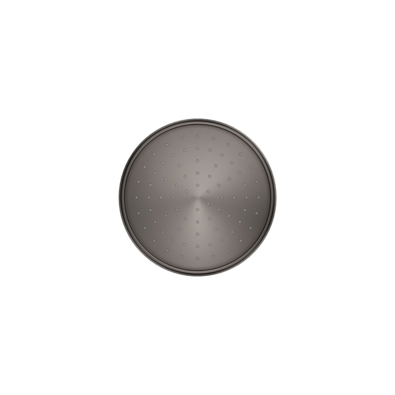 Traditional Rain Shower Head, Vibrant Titanium