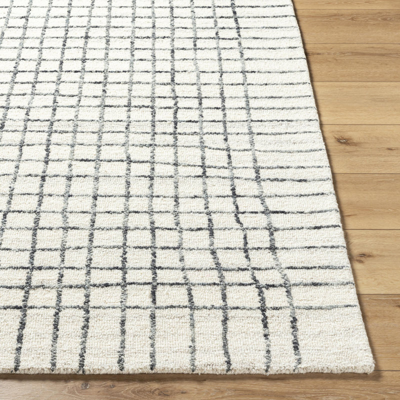 Amoura Hand Tufted Wool Plaid Indoor Rug, Rectangle 2' x 3'