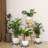Plant Stand-938536718