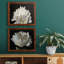 ALL AFLUTTER - ensemble de 2 reproductions-1761994159-1778156557-1778156574