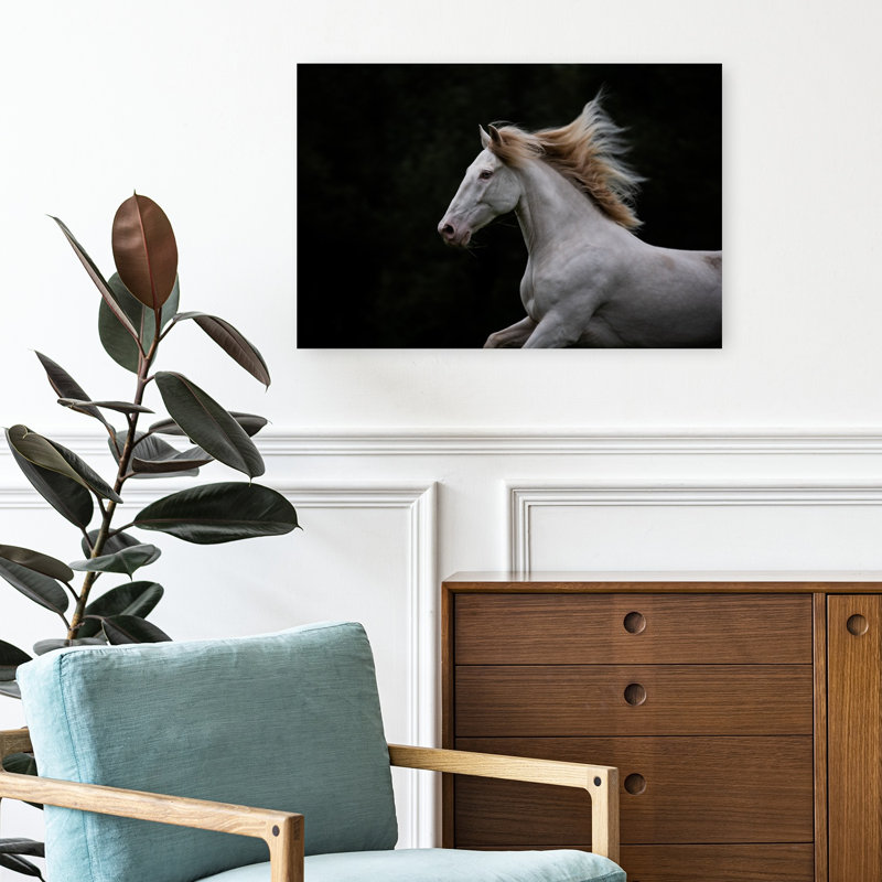 Print, 40.64cm H x 60.96cm W