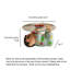 Table basse en verre Creative Shinji Creative