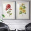 «Botanical III», ensemble de 2 reproductions d'impressions-568685776-568685778-568685780