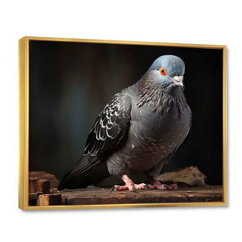 Portrait de colombe grise I - reproduction sur toile, Cadre flottant doré, H 12 po x l 20 po x P 1 po