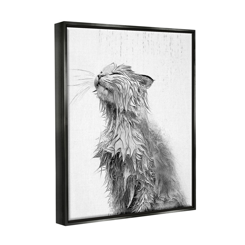 Éclaboussure de chat, H 21 po x l 17 po x P 1,7 po, Cadre flottant noir de jais