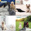 Coussins Katziela-96064460-96064459