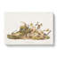 Four Striped Ground Squirrels by J.W. Audubon - Wrapped Canvas-55363940